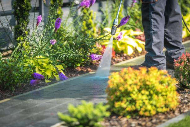 Professional  Pressure Washing Services in Beaumont, TX